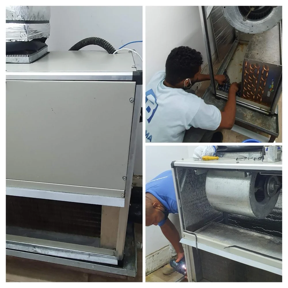 WhatsApp-Image-2024-12-14-at-23.51.44